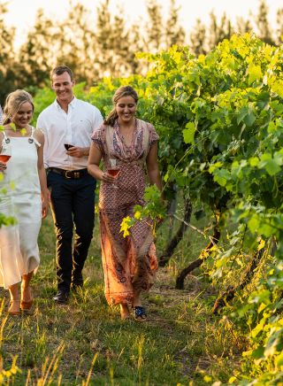 Couples enjoying food and wine at Grove Estate Wines, Young